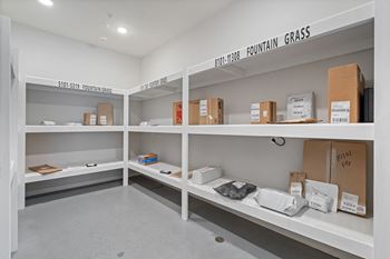 Secured package center